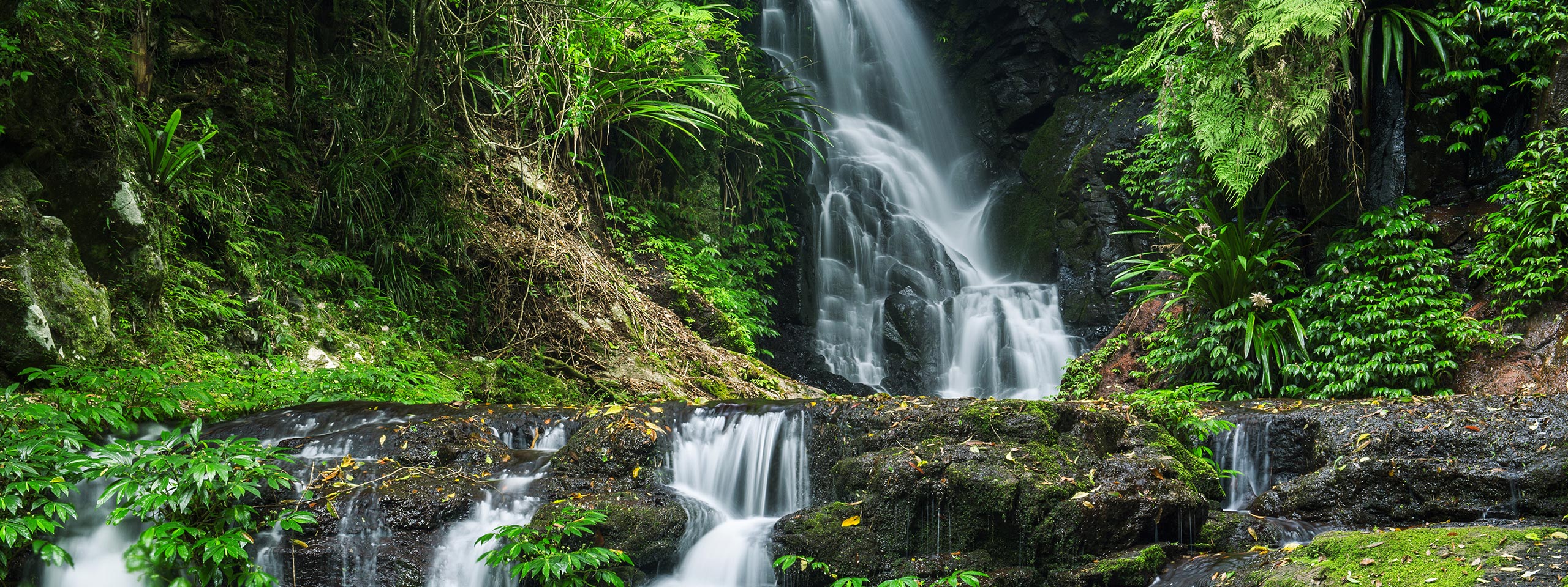 Waterfall at Lamington National Park