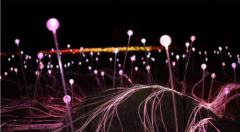 field of light close up fol preview