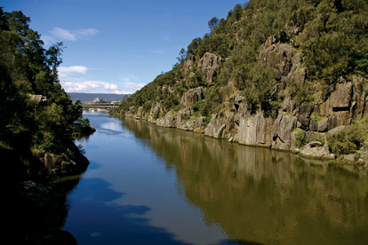 Tamar River Cruise Afternoon Discovery Cruise - 2.5 Hours