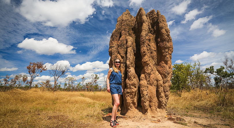 litchfield termite mounds d5 preview