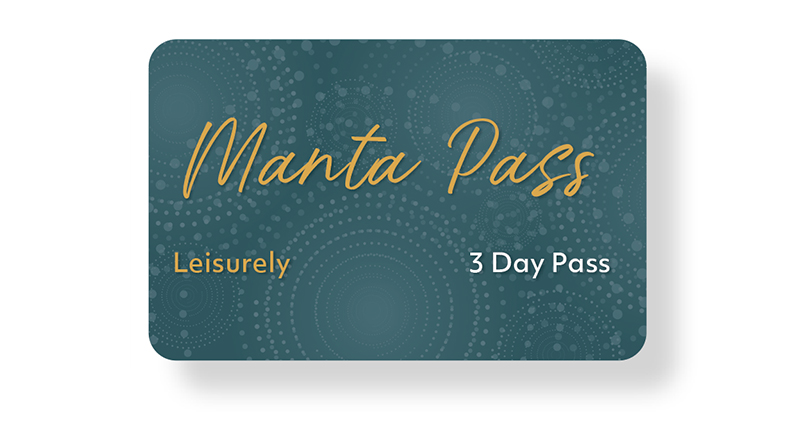 Y4 Manta Pass preview