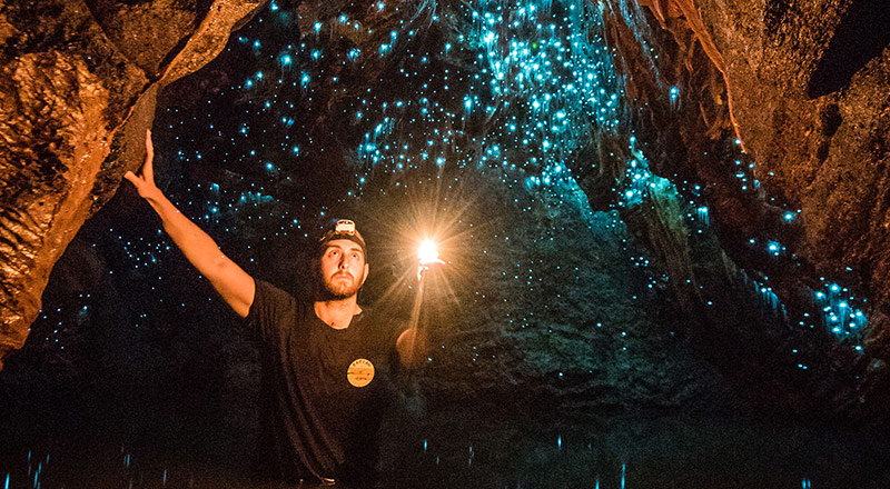 waitomo glowworm grotto labc preview