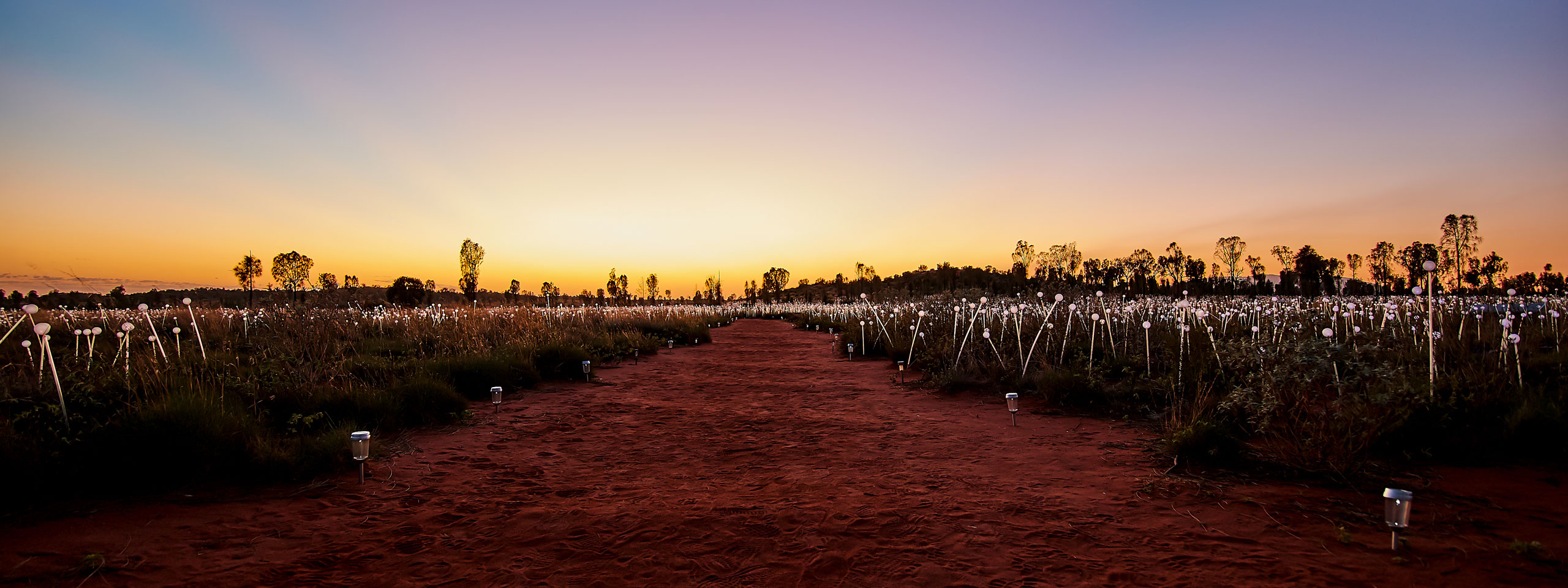 Field of Light, Uluru-Kata Tjuta National Park