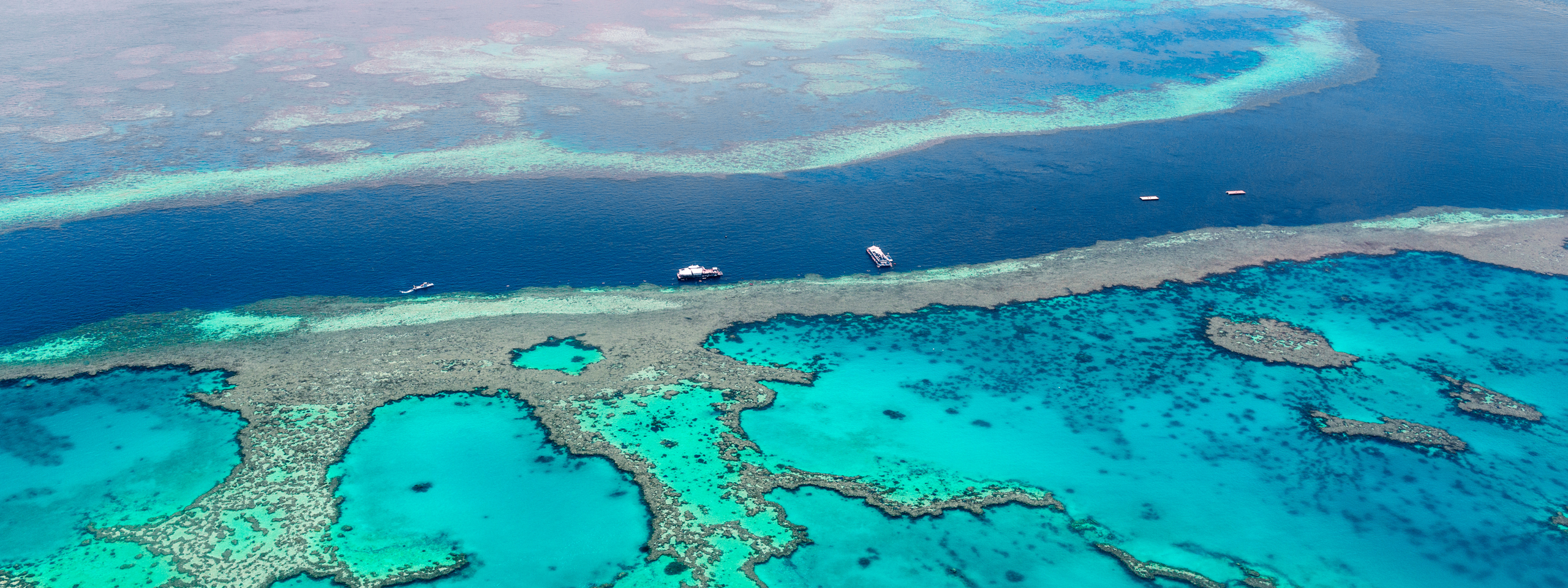 Great Barrier Reef, Queensland Australia