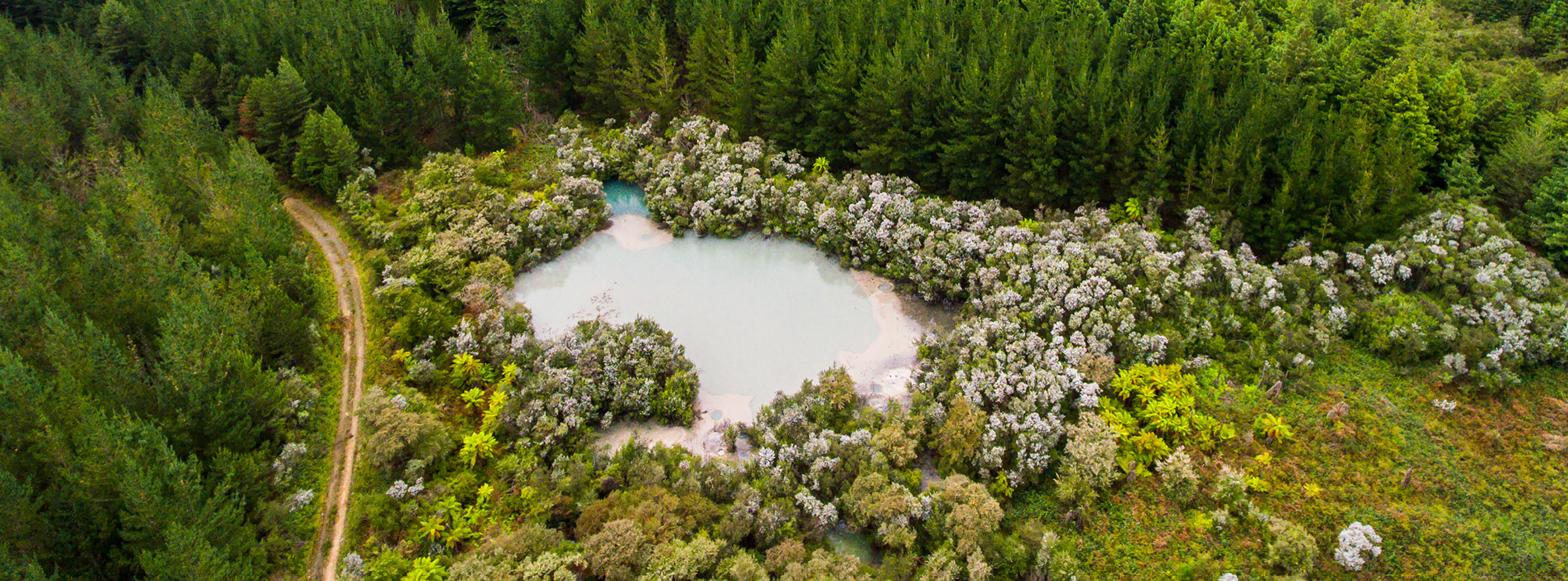 Rotorua Mud Pool
