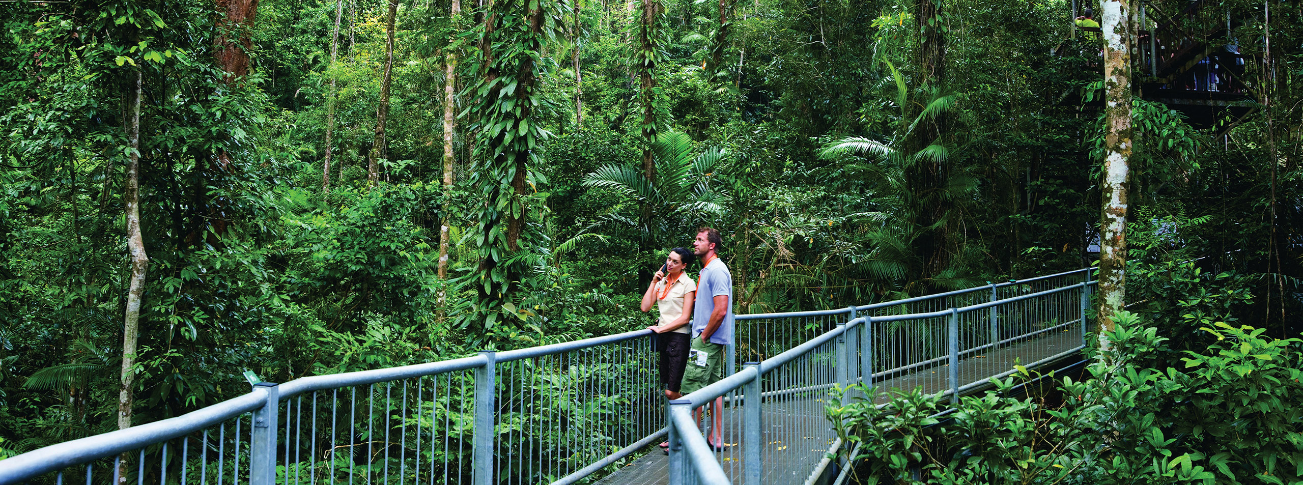 Daintree Rainforest walks