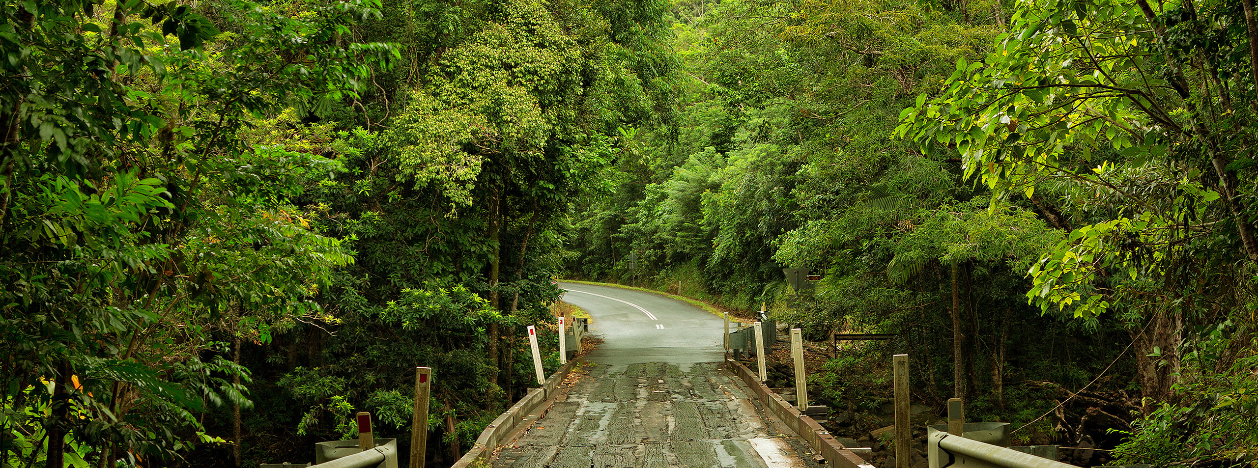 Daintree Rainforest Crossing