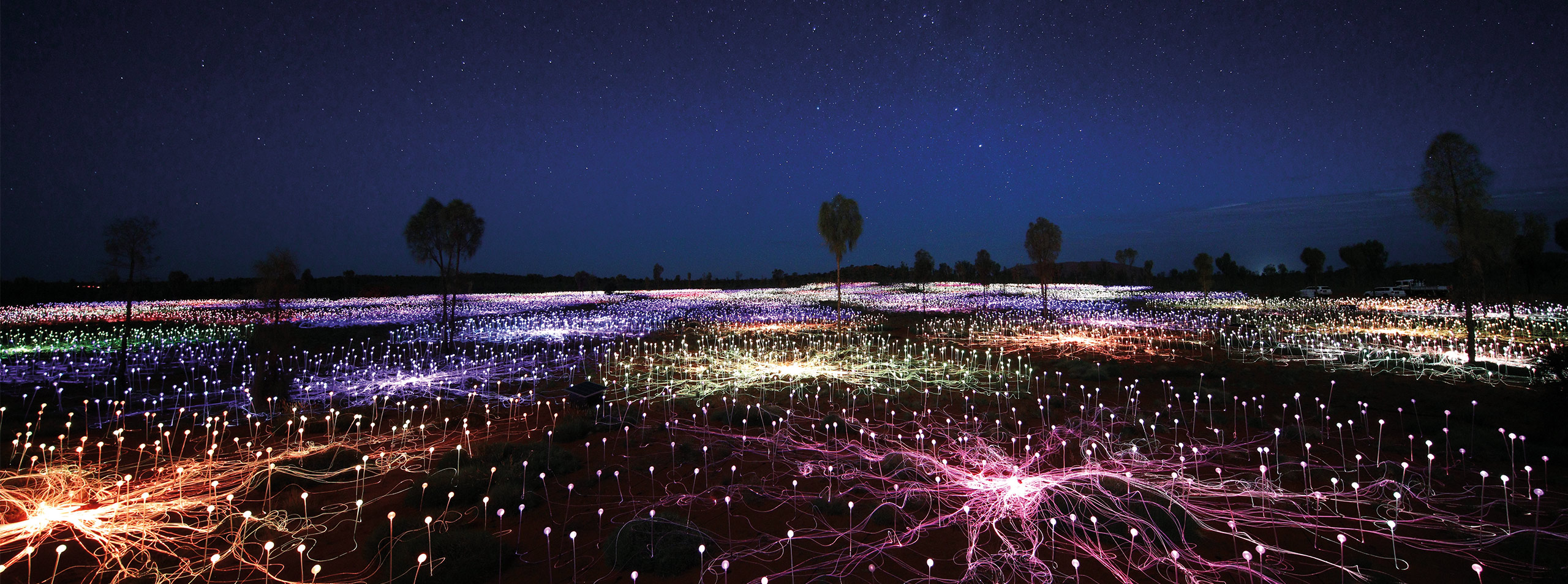 Field of Lights 