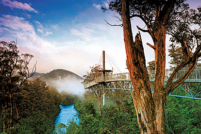 Huon Valley Full Day Tour