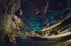 Inside Waitomo Glow Worm Caves