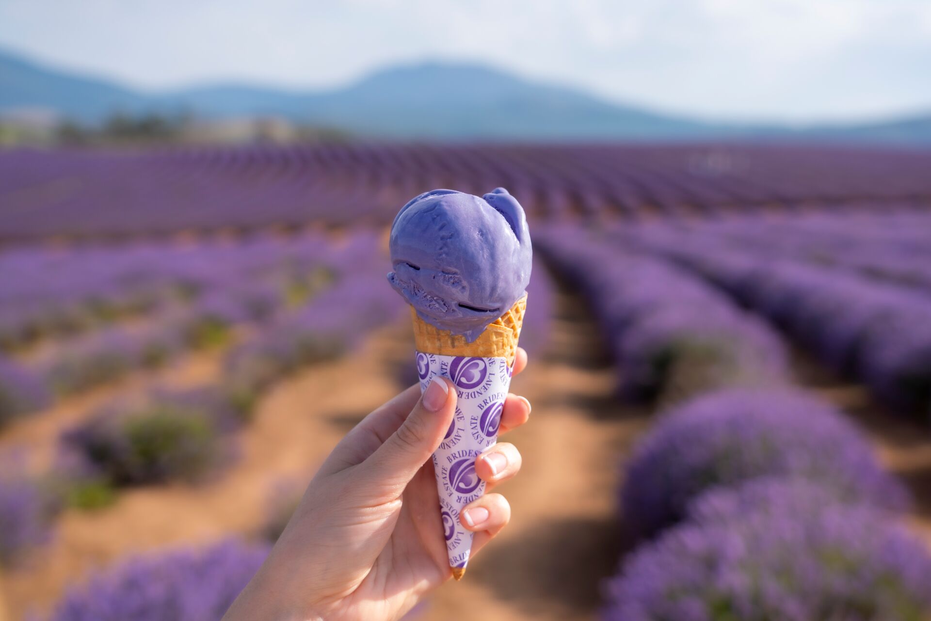 A hand holding a lavender ice cream with lavender field in the background