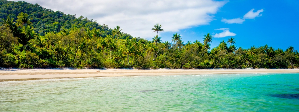 A sandy beach with palm trees in the background