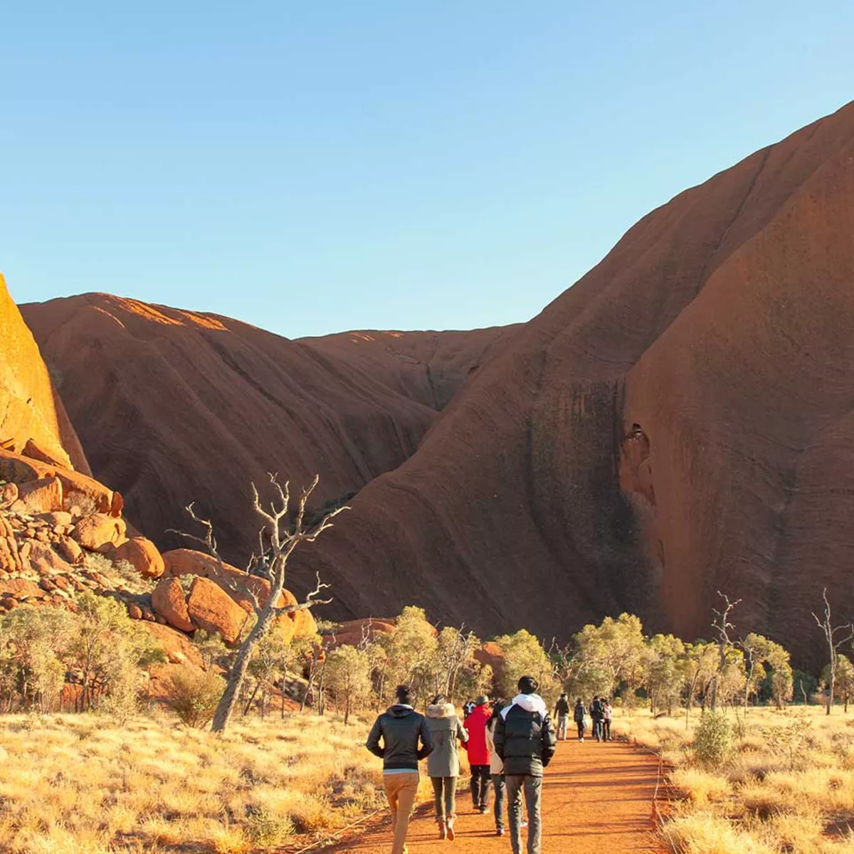 Uluru Base Sunset Half Day Tour AU AAT Kings AU