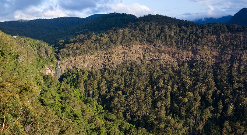 View on Daintree Forest in Lamington National Park on a cloudy day