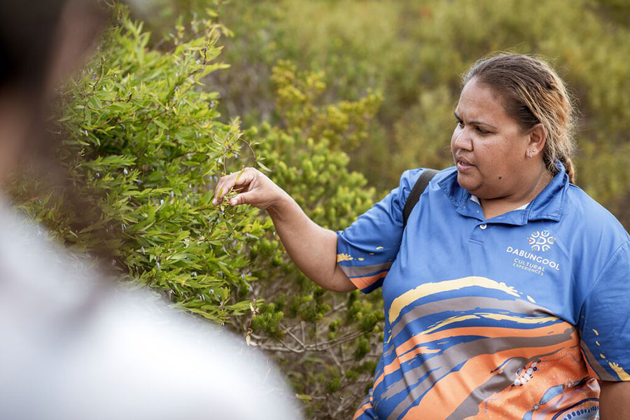 Dabungool Cultural Experiences