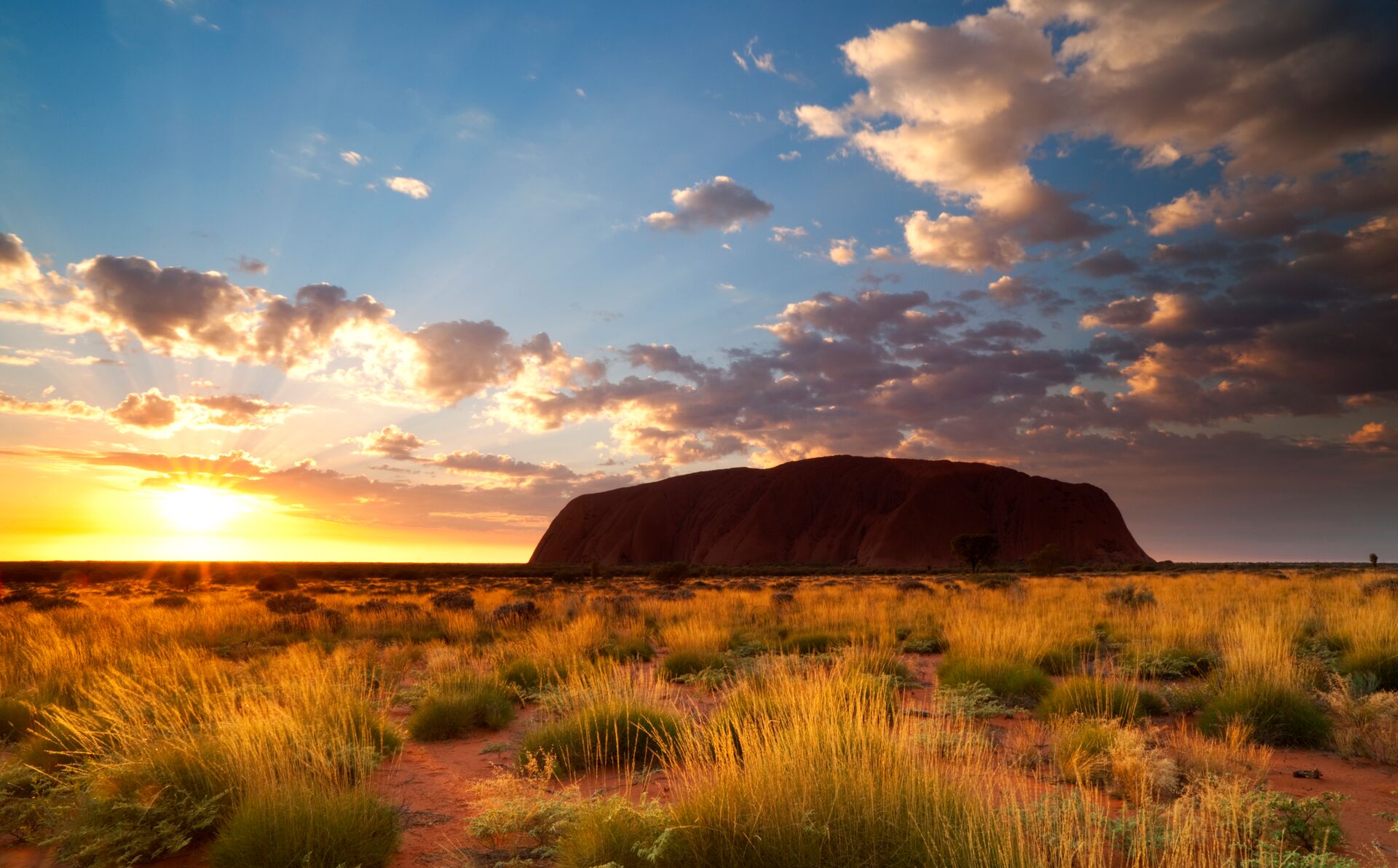 Uluru At Dawn 458967095