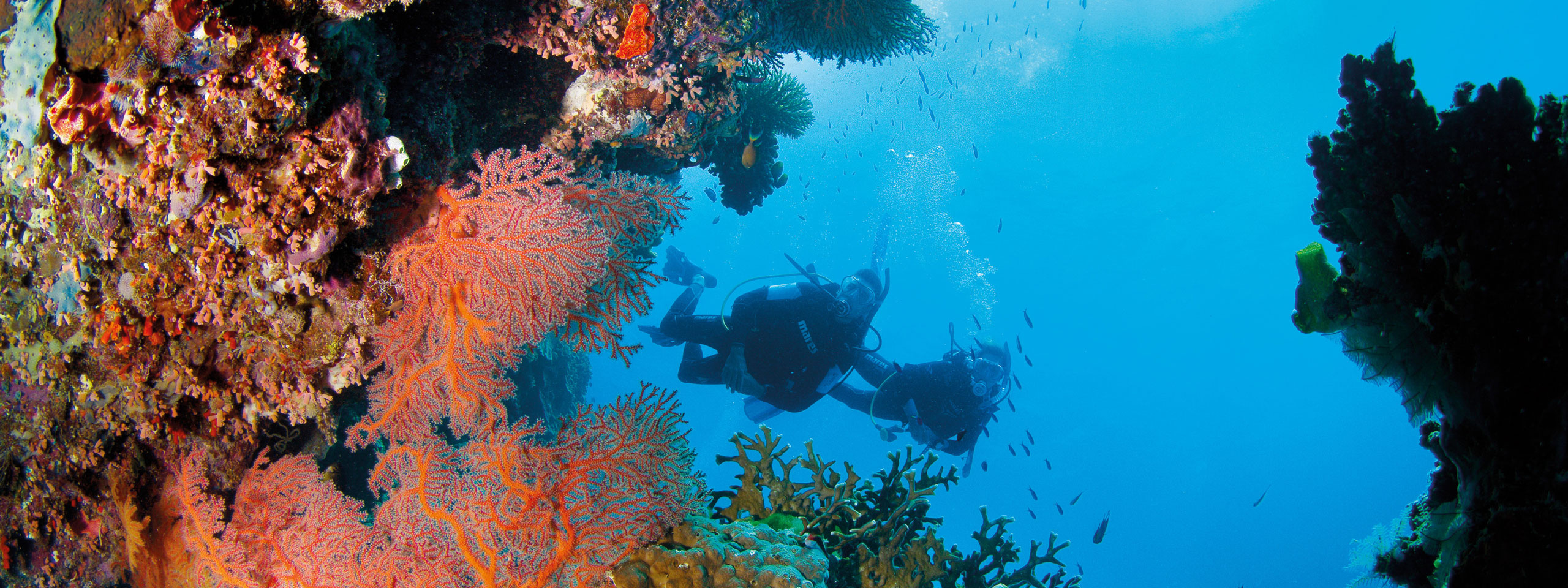 Great Barrier Reef Pixies Gardens Tourismqld 126108 56