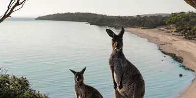 Coffin Bay