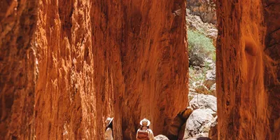 Standley Chasm - Credit Tourism NT Salt Aura
