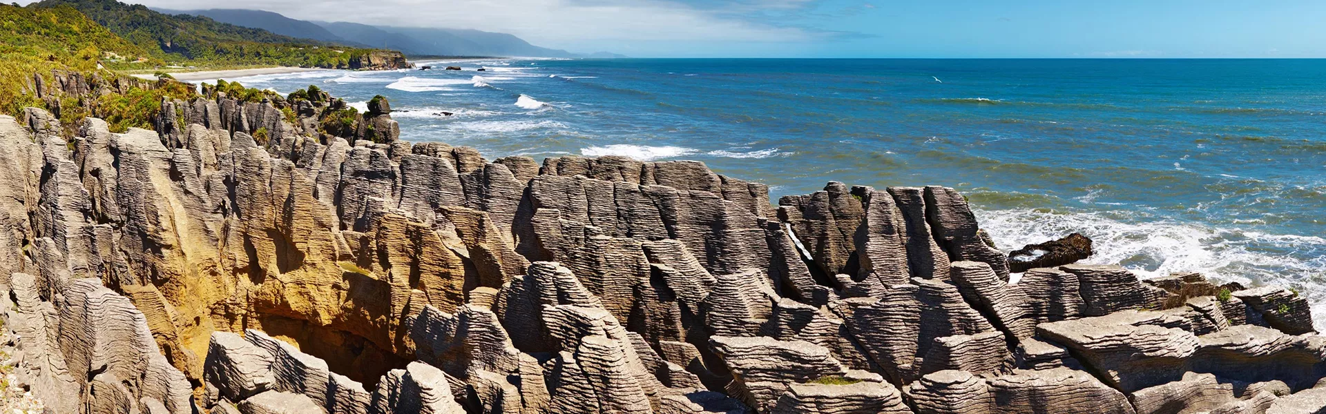 Rocky coast surrounded by green flora