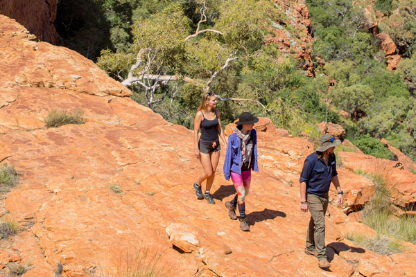 Kings Canyon Tourismnt 127858 56