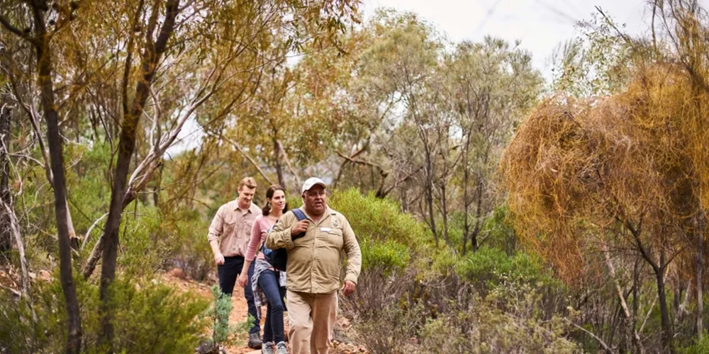 Tourists going through Wilpena