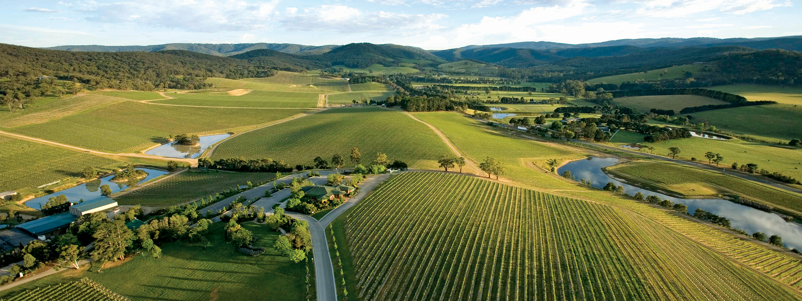 Yarra valley wineries hotsell