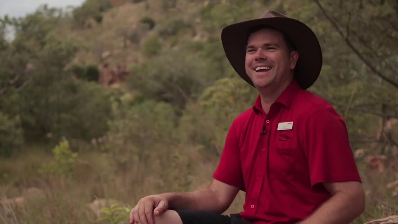 Travel Director Dave