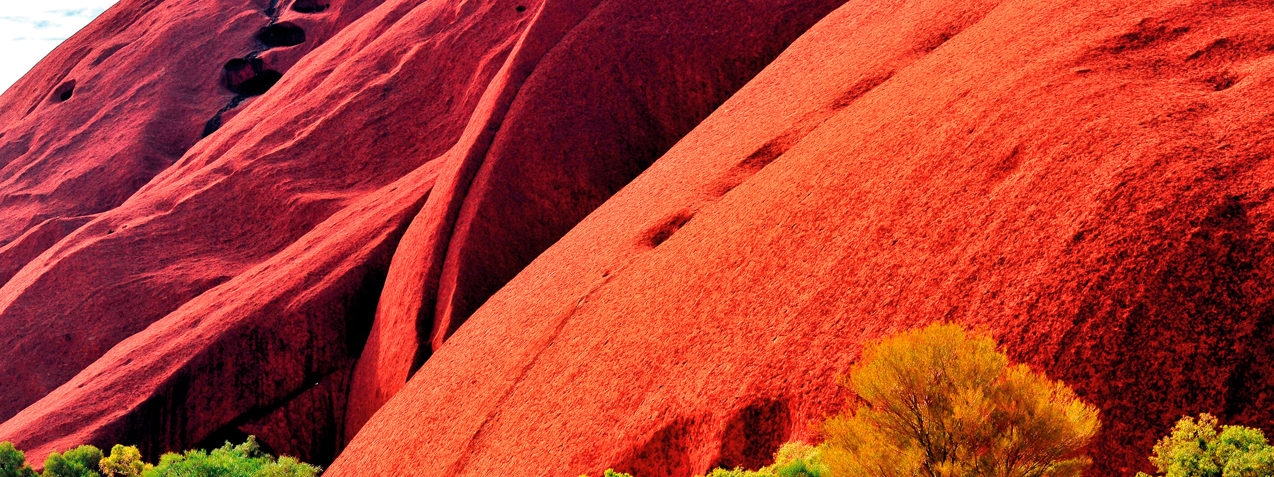 Red Centre, Uluru with trees in the foreground