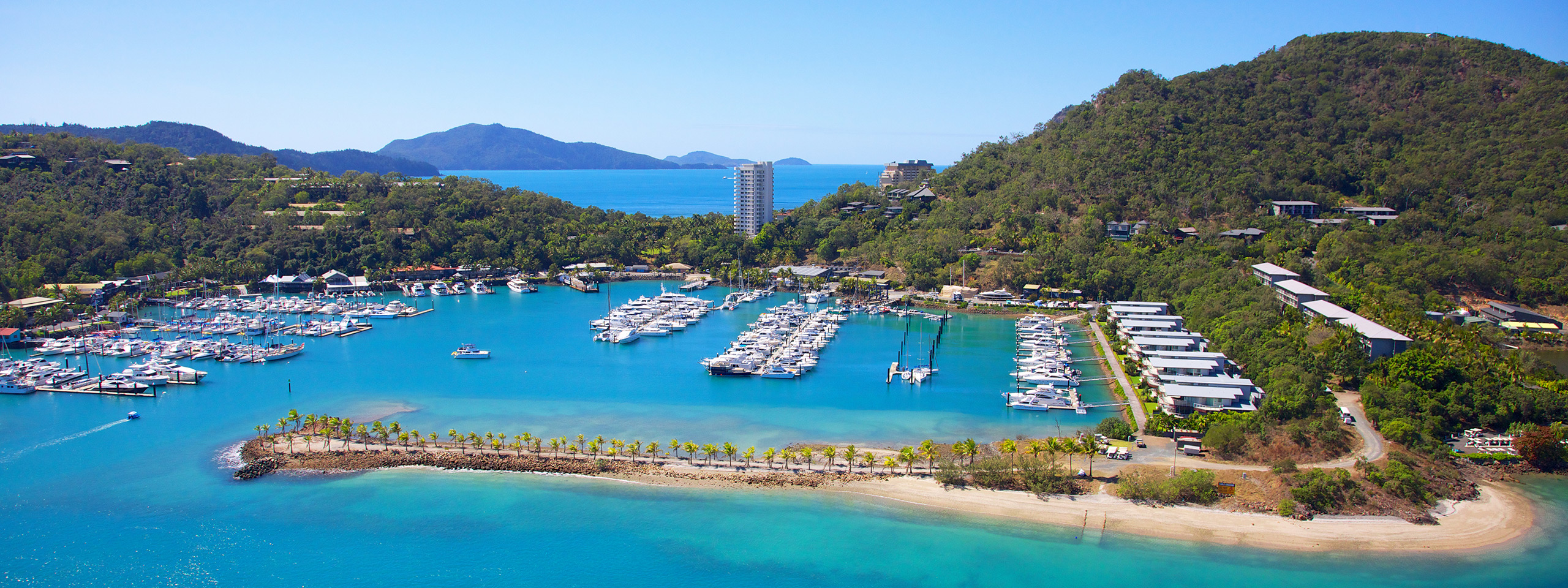 View on Hamilton Island Harbour with palms and sea on a sunny day