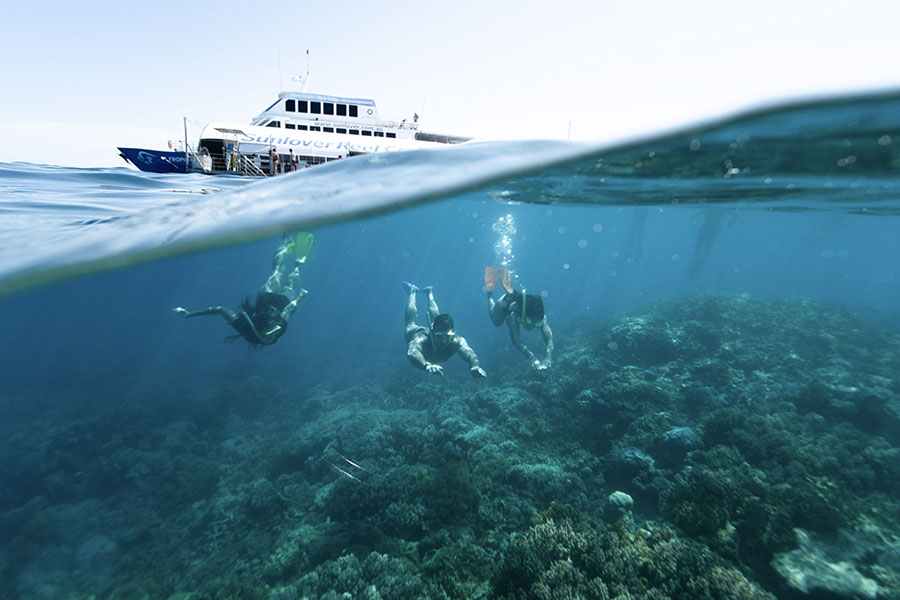 Sunlover Reef Cruise Credit Teq