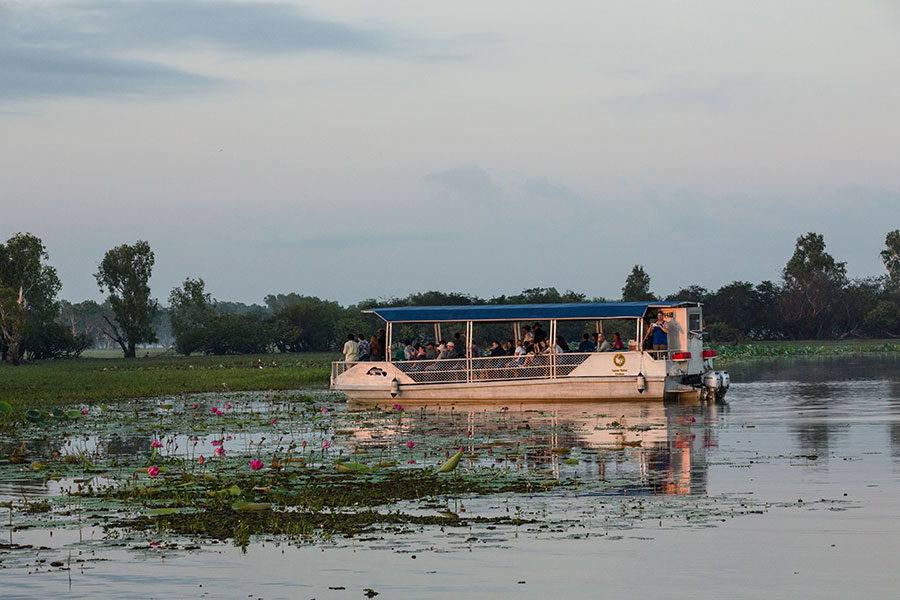 Yellow Water Billabong Cruise Credit Tourism NT And James Fisher