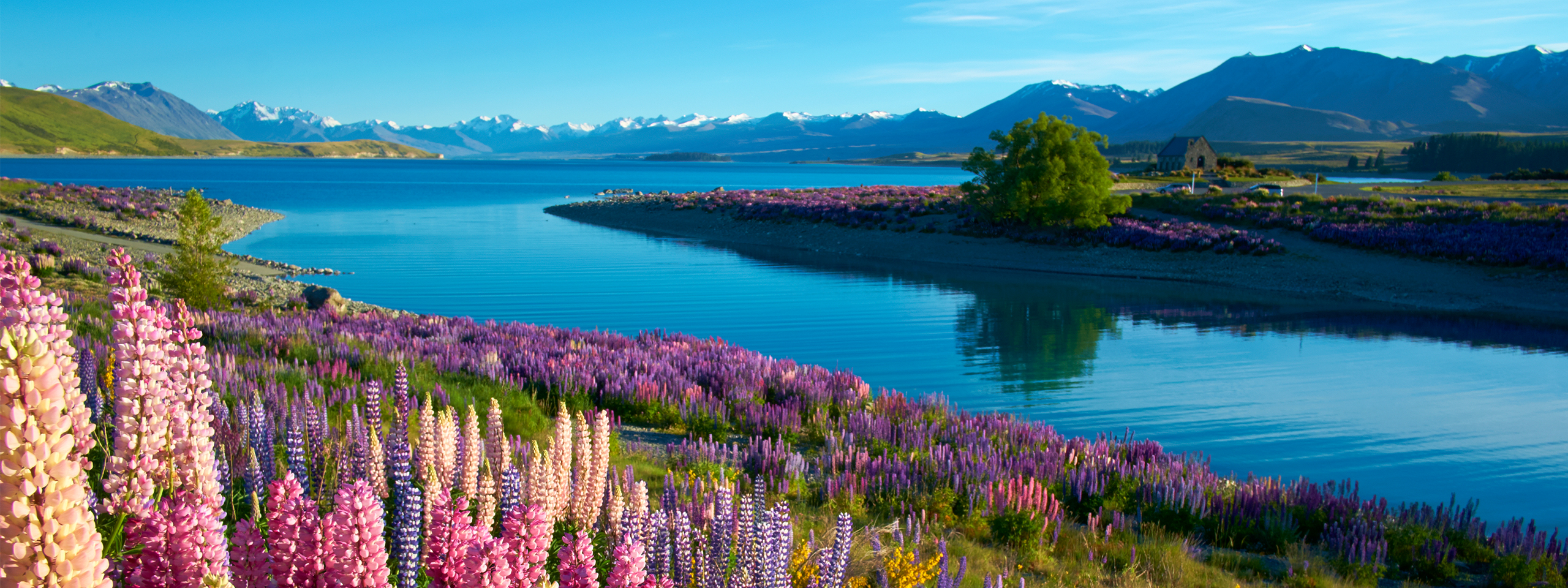 Lake surrounded by heather and mountains