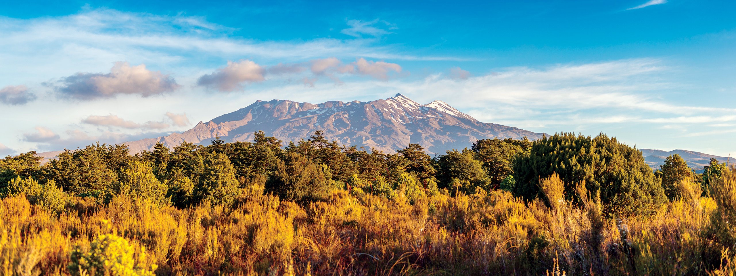 New Zealand Magic