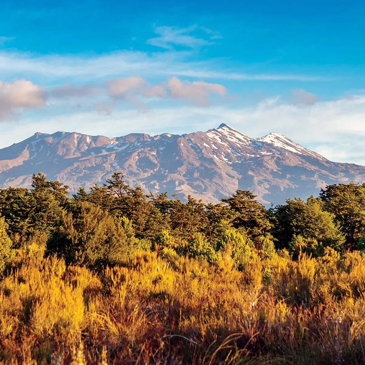 New Zealand Magic