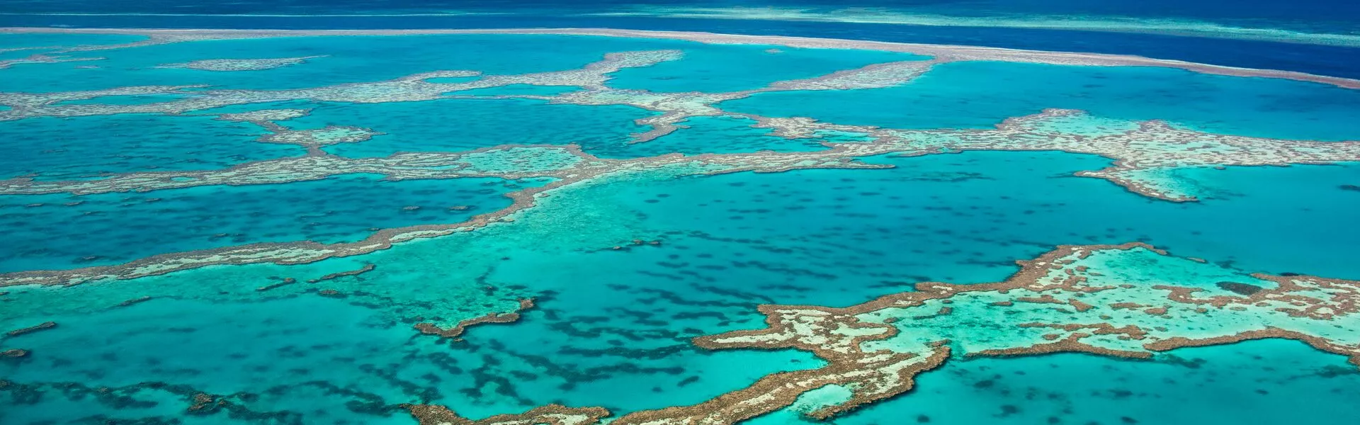 An aerial view of the Great Barrier Reef