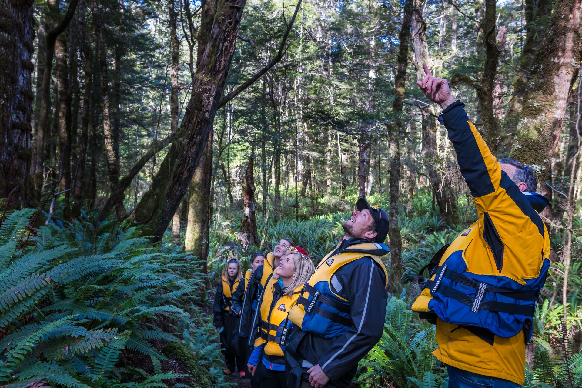 A group of people standing in the middle of a forest in Pomona Island
