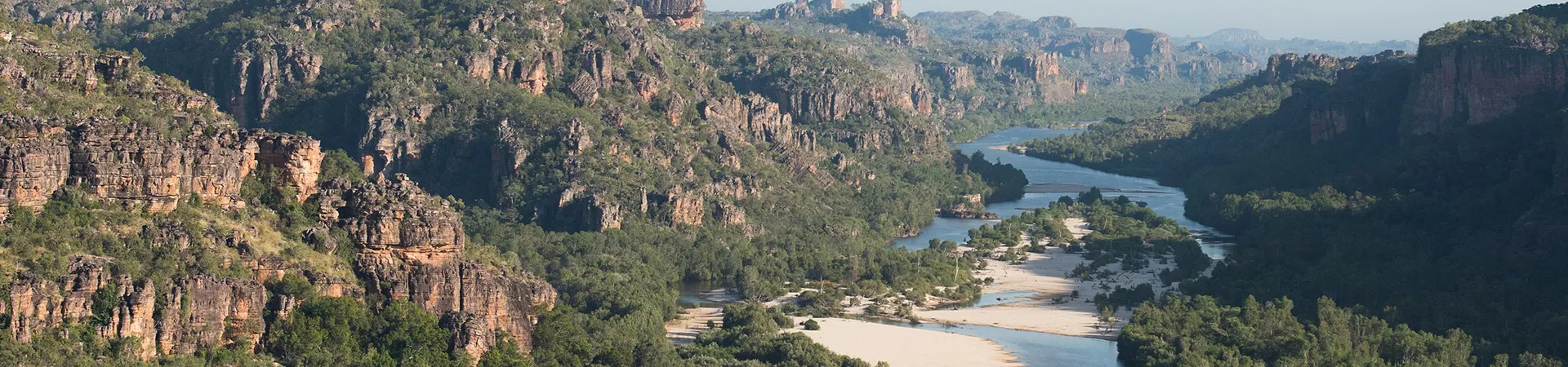 Plant-covered rocks and a river