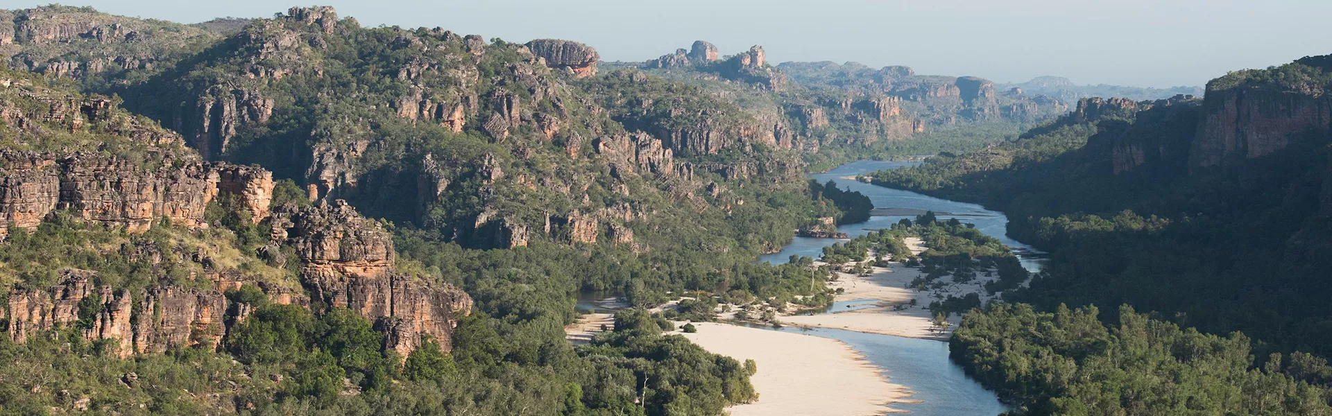 Plant-covered rocks and a river