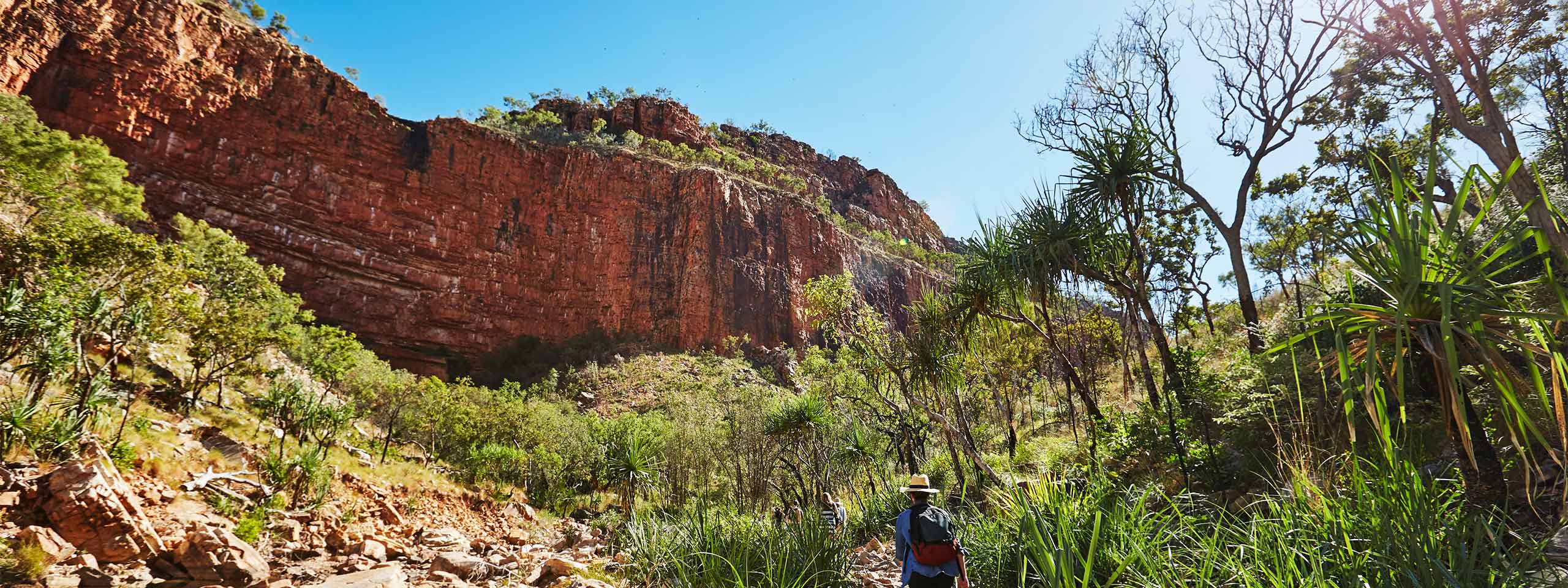 A person wandering through Emma Gorge