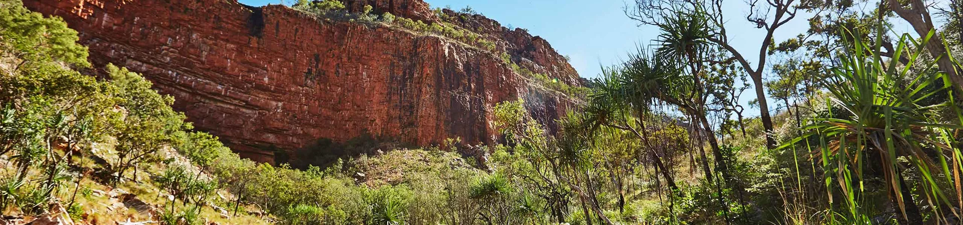 A person wandering through Emma Gorge