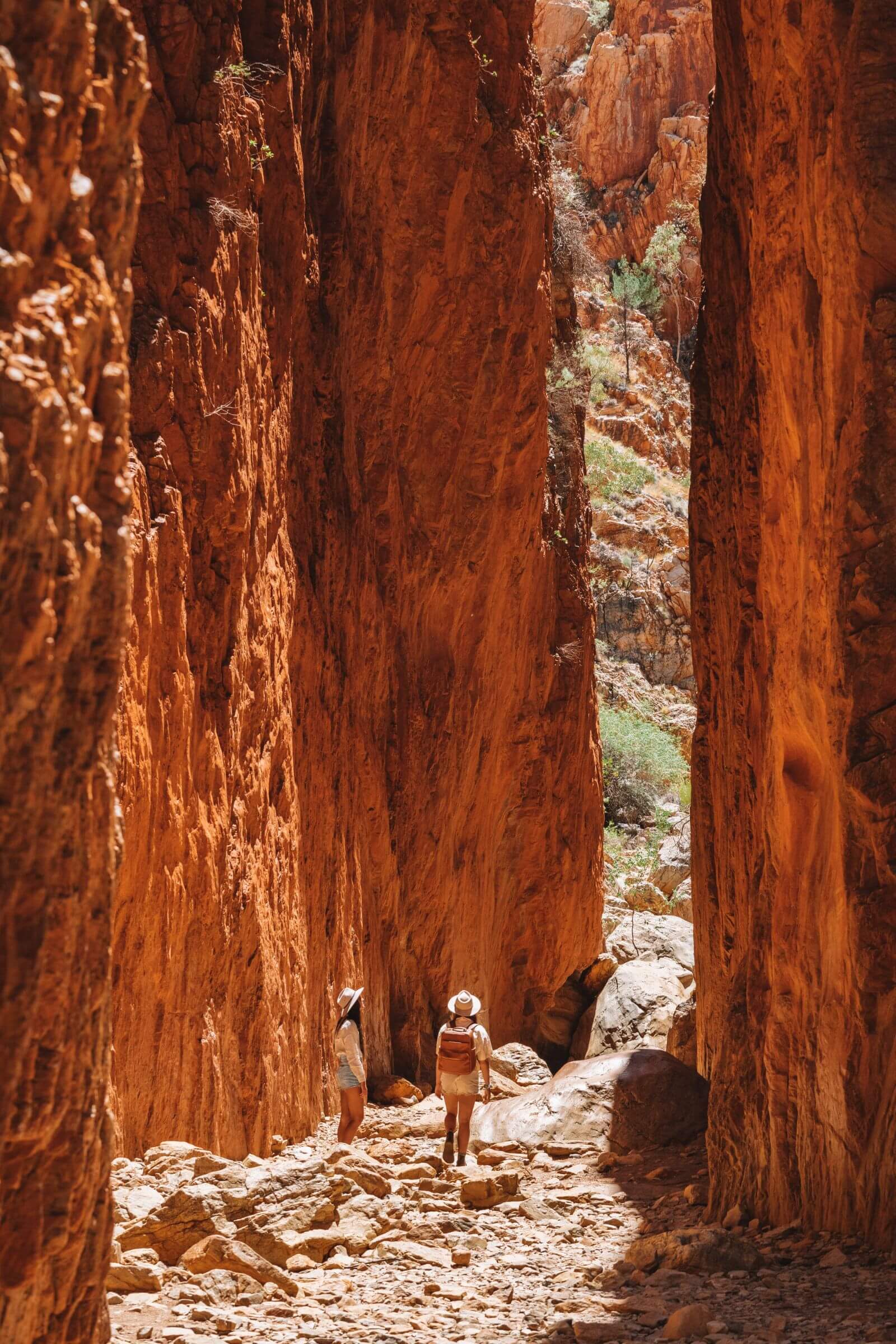 Standley Chasm Tourism NT Salty Aura 134353 56