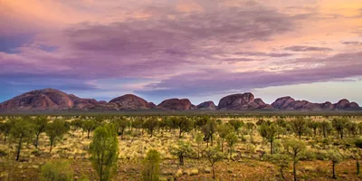 Kata Tjuta Viewing Platform