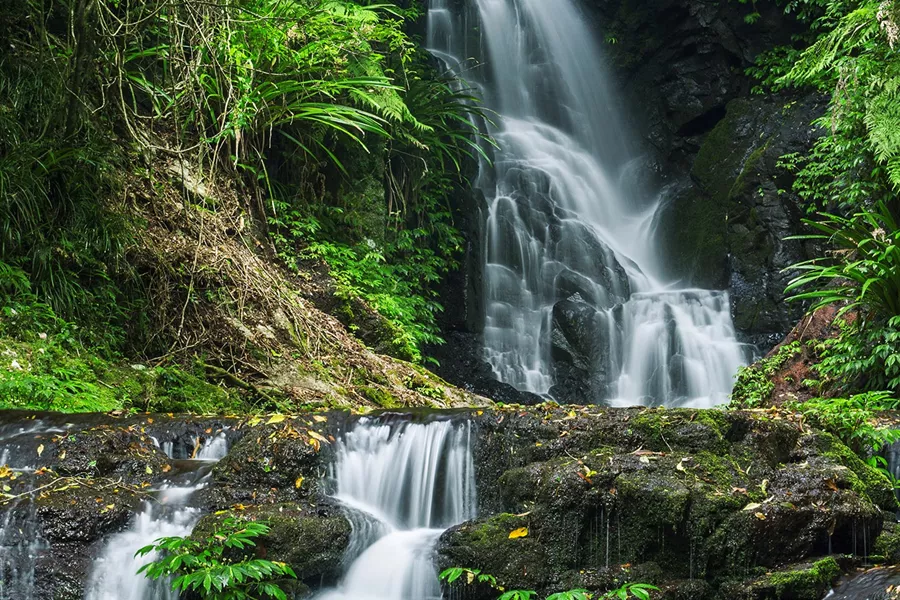 A waterfall in Lamington National Park