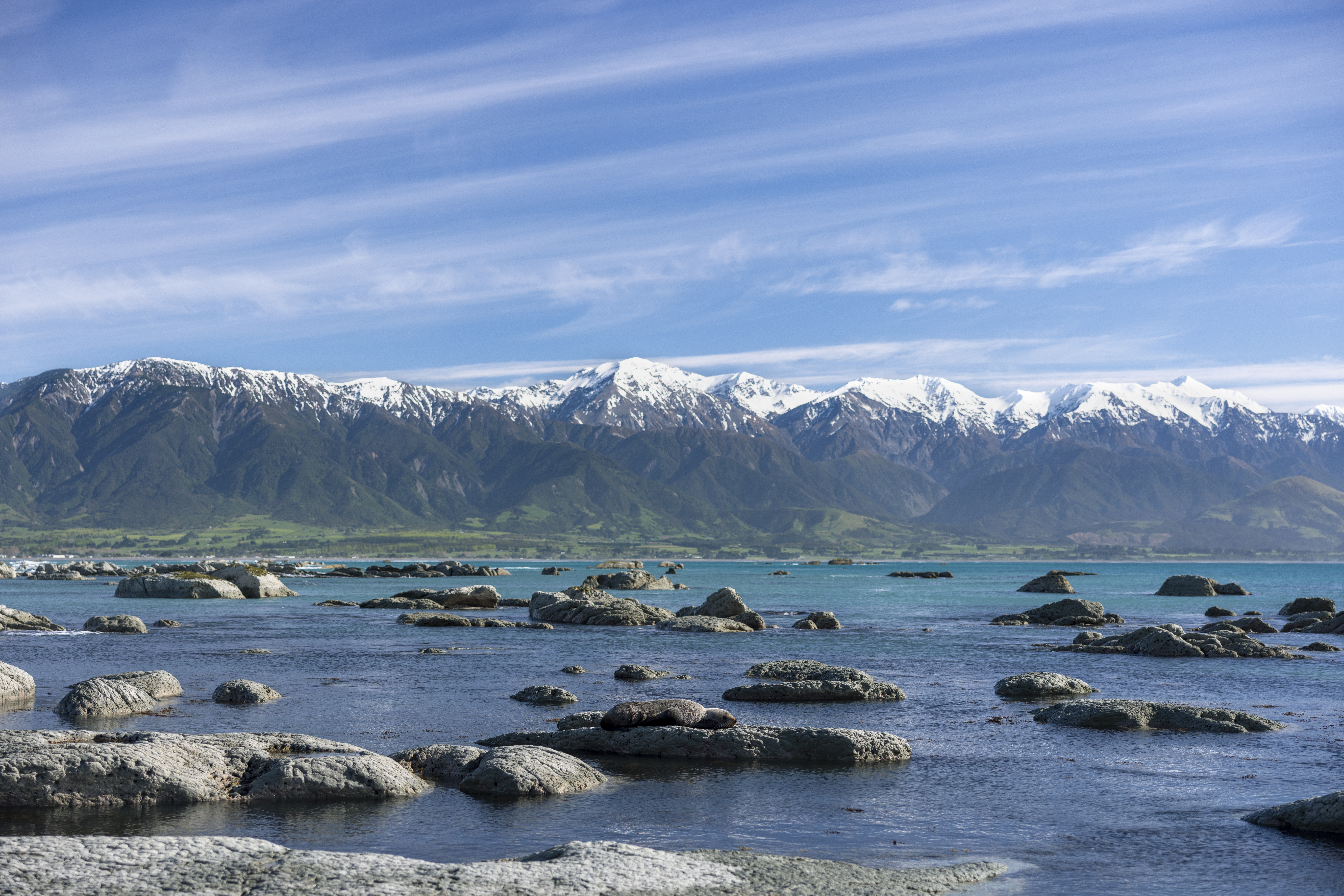 Kaikoura Credit Miles Holden