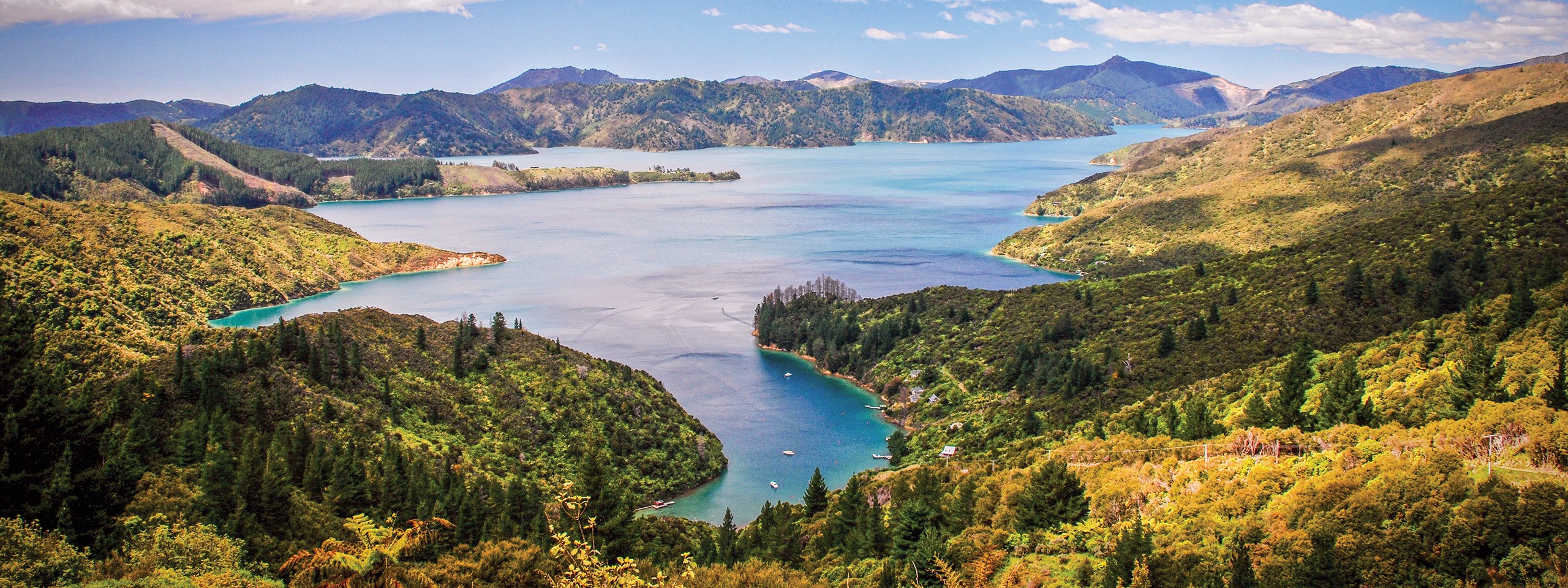 New Zealand Magic