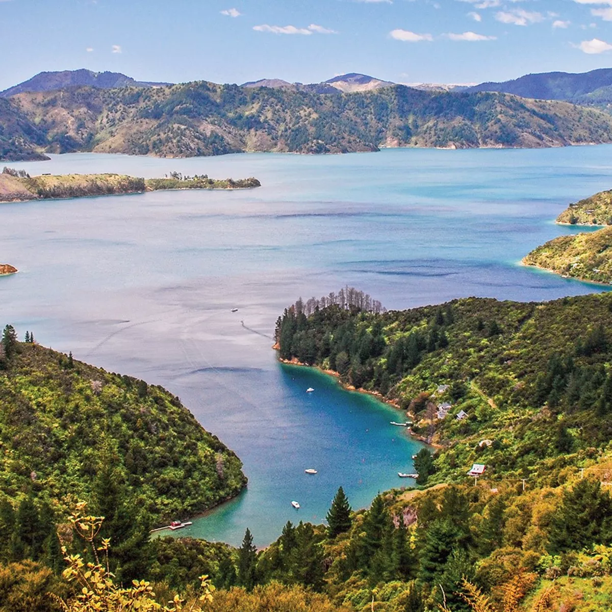 New Zealand Magic
