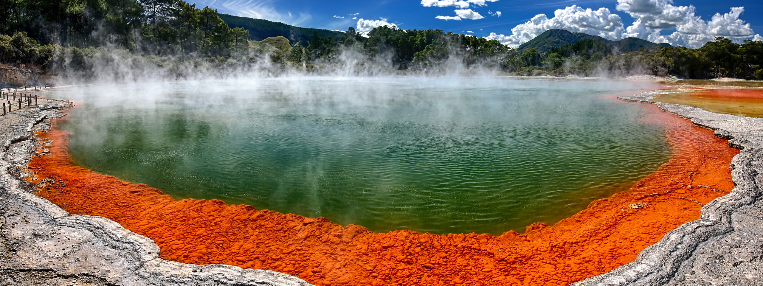 Geothermal springs surrounded by trees and rocks