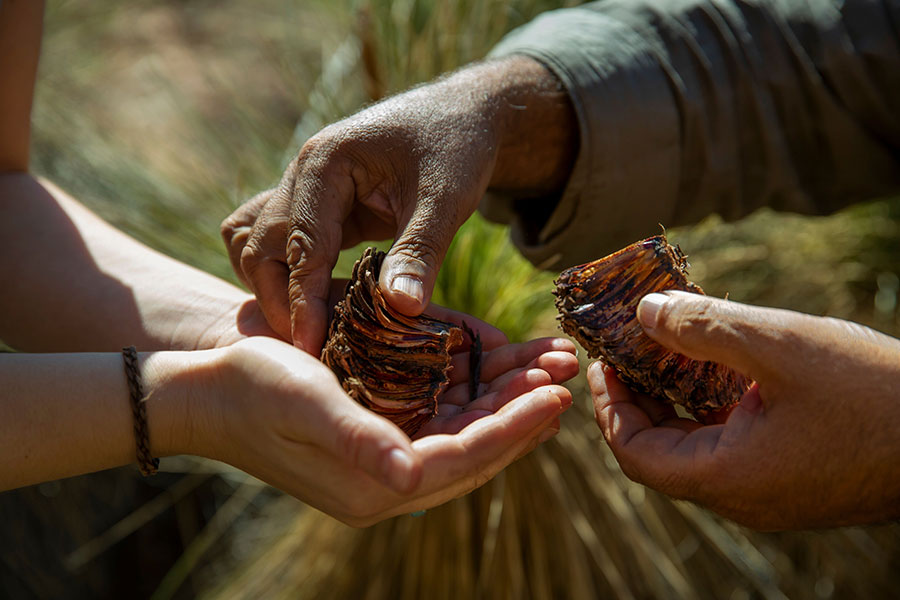 Wilpena Pound Resort Credit Tourism Australia