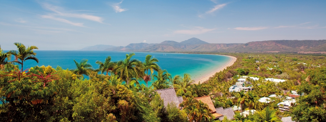 A view of a tropical beach with palm trees
